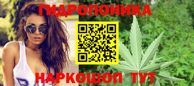 гидропоника Ачхой-Мартан